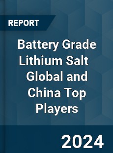 Battery Grade Lithium Salt Global and China Top Players Market