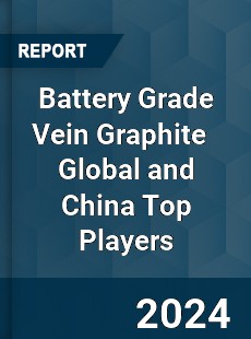 Battery Grade Vein Graphite Global and China Top Players Market