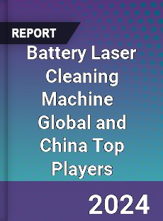 Battery Laser Cleaning Machine Global and China Top Players Market