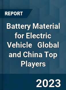 Battery Material for Electric Vehicle Global and China Top Players Market