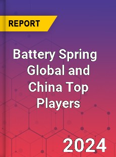 Battery Spring Global and China Top Players Market