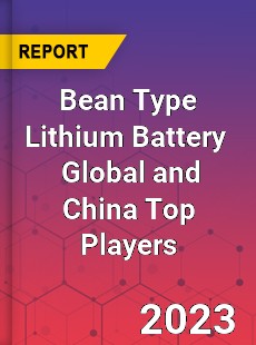 Bean Type Lithium Battery Global and China Top Players Market