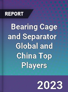 Bearing Cage and Separator Global and China Top Players Market