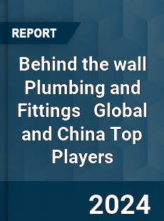 Behind the wall Plumbing and Fittings Global and China Top Players Market