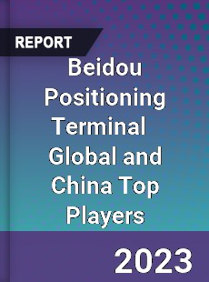 Beidou Positioning Terminal Global and China Top Players Market