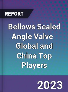 Bellows Sealed Angle Valve Global and China Top Players Market