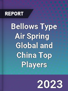 Bellows Type Air Spring Global and China Top Players Market