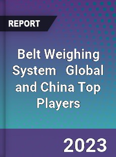 Belt Weighing System Global and China Top Players Market