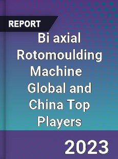 Bi axial Rotomoulding Machine Global and China Top Players Market