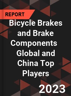 Bicycle Brakes and Brake Components Global and China Top Players Market