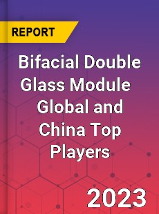 Bifacial Double Glass Module Global and China Top Players Market