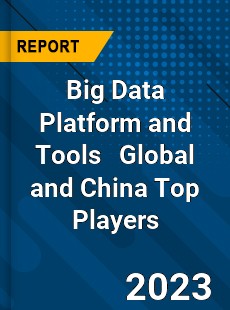 Big Data Platform and Tools Global and China Top Players Market