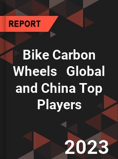 Bike Carbon Wheels Global and China Top Players Market