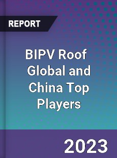 BIPV Roof Global and China Top Players Market