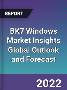 BK7 Windows Market Insights Global Outlook and Forecast