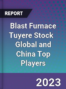 Blast Furnace Tuyere Stock Global and China Top Players Market