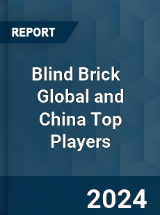 Blind Brick Global and China Top Players Market