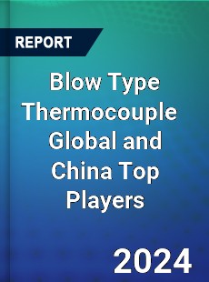 Blow Type Thermocouple Global and China Top Players Market