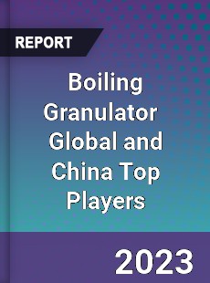 Boiling Granulator Global and China Top Players Market