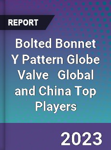 Bolted Bonnet Y Pattern Globe Valve Global and China Top Players Market