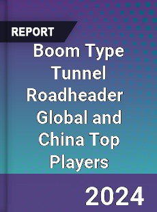 Boom Type Tunnel Roadheader Global and China Top Players Market