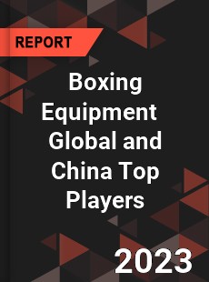 Boxing Equipment Global and China Top Players Market