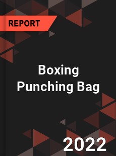 Boxing Punching Bag Market