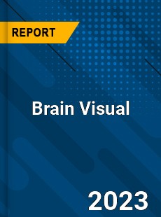 Brain Visual Analysis