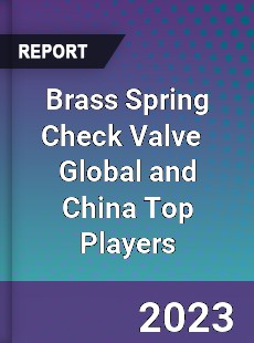 Brass Spring Check Valve Global and China Top Players Market