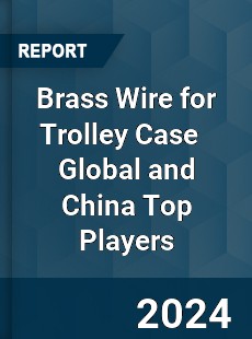 Brass Wire for Trolley Case Global and China Top Players Market