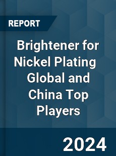 Brightener for Nickel Plating Global and China Top Players Market