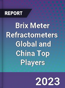 Brix Meter Refractometers Global and China Top Players Market