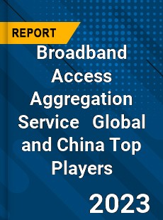 Broadband Access Aggregation Service Global and China Top Players Market