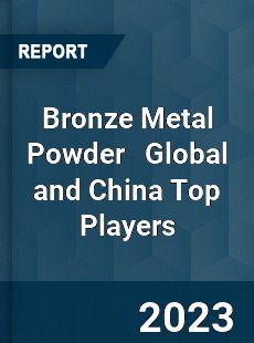 Bronze Metal Powder Global and China Top Players Market