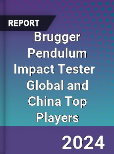 Brugger Pendulum Impact Tester Global and China Top Players Market