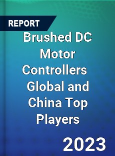 Brushed DC Motor Controllers Global and China Top Players Market