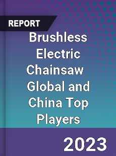 Brushless Electric Chainsaw Global and China Top Players Market