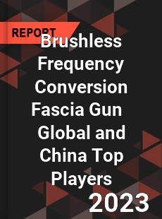 Brushless Frequency Conversion Fascia Gun Global and China Top Players Market