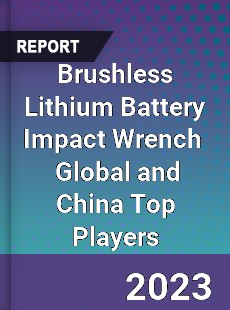 Brushless Lithium Battery Impact Wrench Global and China Top Players Market