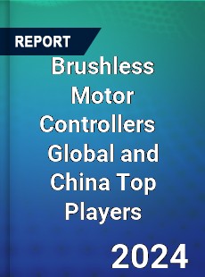 Brushless Motor Controllers Global and China Top Players Market