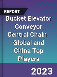 Bucket Elevator Conveyor Central Chain Global and China Top Players Market