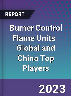 Burner Control Flame Units Global and China Top Players Market