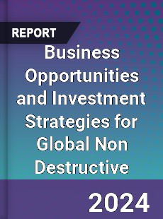 Business Opportunities and Investment Strategies for Global Non Destructive