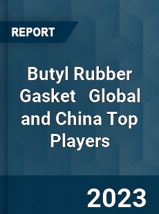 Butyl Rubber Gasket Global and China Top Players Market