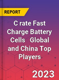 C rate Fast Charge Battery Cells Global and China Top Players Market