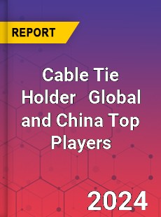 Cable Tie Holder Global and China Top Players Market