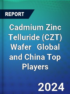 Cadmium Zinc Telluride Wafer Global and China Top Players Market