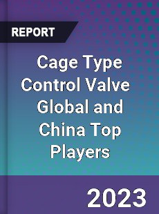 Cage Type Control Valve Global and China Top Players Market