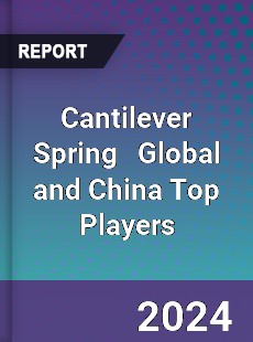 Cantilever Spring Global and China Top Players Market