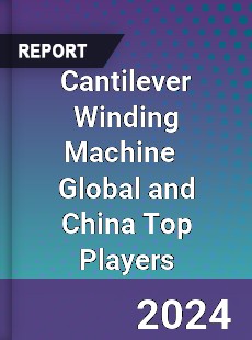 Cantilever Winding Machine Global and China Top Players Market